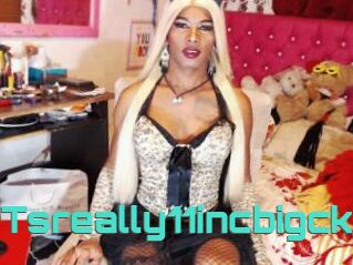 Tsreally11incbigck