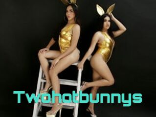 Twohotbunnys