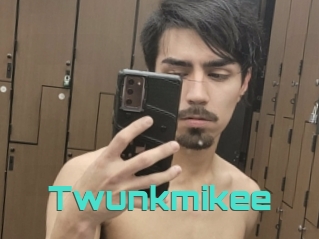 Twunkmikee