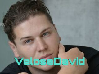 VelosaDavid
