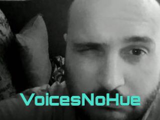 VoicesNoHue