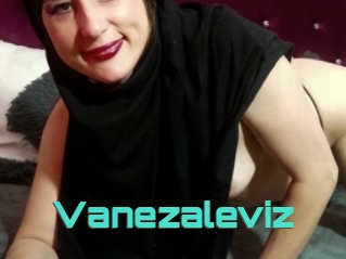 Vanezaleviz