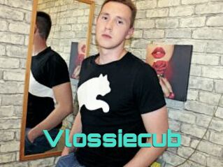 Vlossiecub