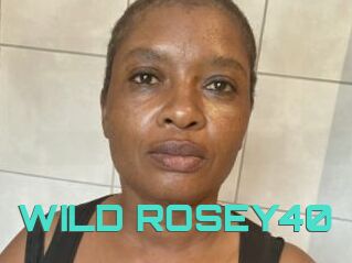 WILD_ROSEY40