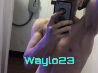 Waylo23