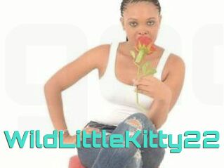 WildLittleKitty22