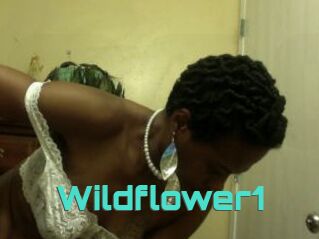 Wildflower1