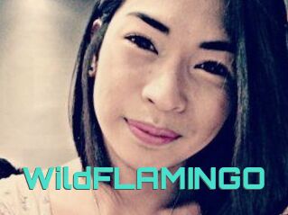 WildFLAMINGO