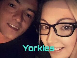 Yorkies