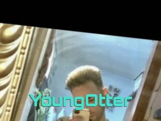 YoungOtter