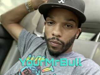 YourMrBull