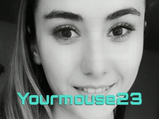 Yourmouse23