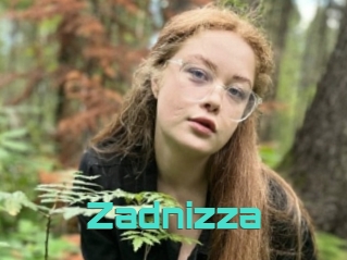 Zadnizza
